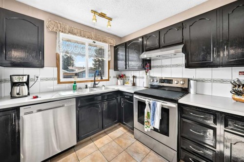 6432 Rundlehorn Drive Ne, Calgary, AB - Indoor Photo Showing Kitchen With Stainless Steel Kitchen With Double Sink