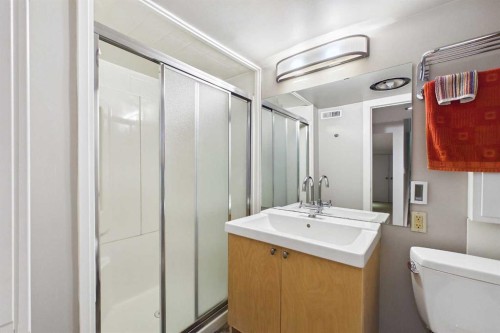 224 10A Street Nw, Calgary, AB - Indoor Photo Showing Bathroom