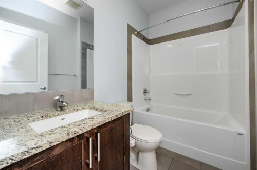 101 Savanna Close Ne, Calgary, AB - Indoor Photo Showing Bathroom
