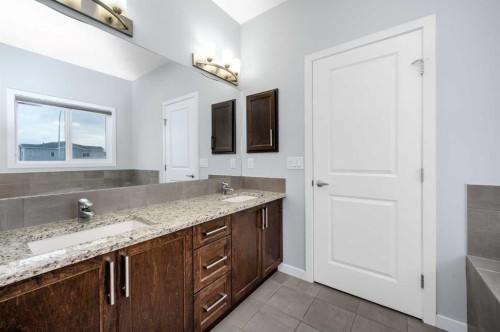 101 Savanna Close Ne, Calgary, AB - Indoor Photo Showing Bathroom