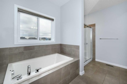 101 Savanna Close Ne, Calgary, AB - Indoor Photo Showing Bathroom