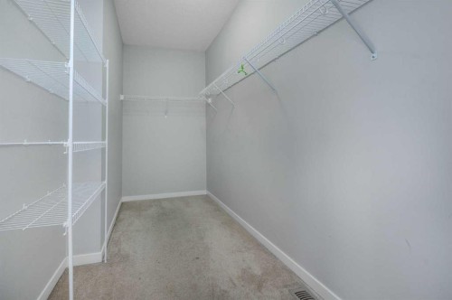 101 Savanna Close Ne, Calgary, AB - Indoor With Storage