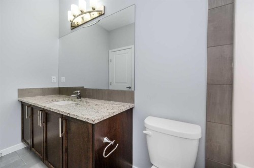 101 Savanna Close Ne, Calgary, AB - Indoor Photo Showing Bathroom