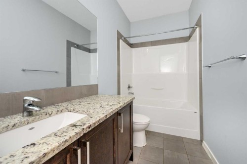 101 Savanna Close Ne, Calgary, AB - Indoor Photo Showing Bathroom