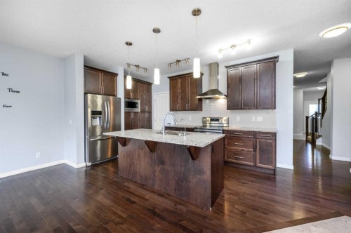101 Savanna Close Ne, Calgary, AB - Indoor Photo Showing Kitchen With Upgraded Kitchen