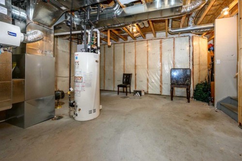 101 Savanna Close Ne, Calgary, AB - Indoor Photo Showing Basement