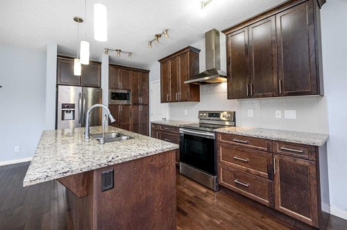 101 Savanna Close Ne, Calgary, AB - Indoor Photo Showing Kitchen With Double Sink With Upgraded Kitchen