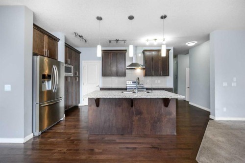 101 Savanna Close Ne, Calgary, AB - Indoor Photo Showing Kitchen With Upgraded Kitchen