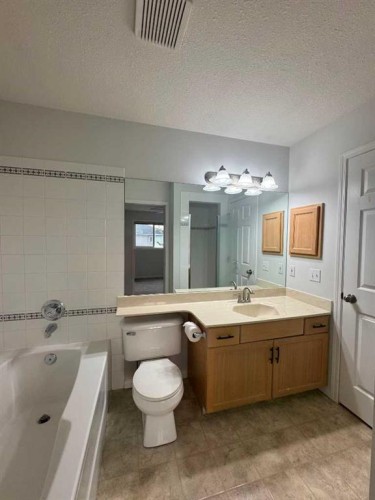 66 Chaparral Ridge Terrace Se, Calgary, AB - Indoor Photo Showing Bathroom
