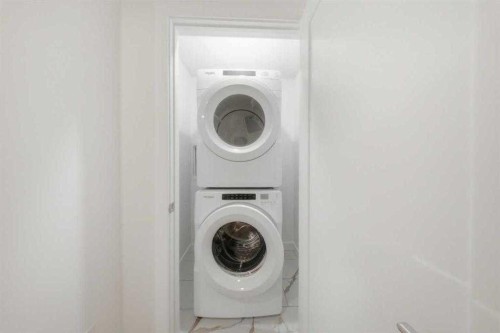 272 Huxbury View Ne, Calgary, AB - Indoor Photo Showing Laundry Room