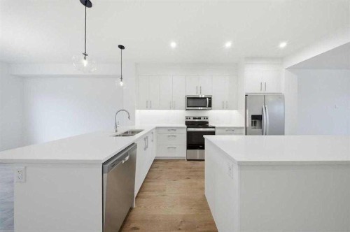 272 Huxbury View Ne, Calgary, AB - Indoor Photo Showing Kitchen With Stainless Steel Kitchen With Double Sink With Upgraded Kitchen
