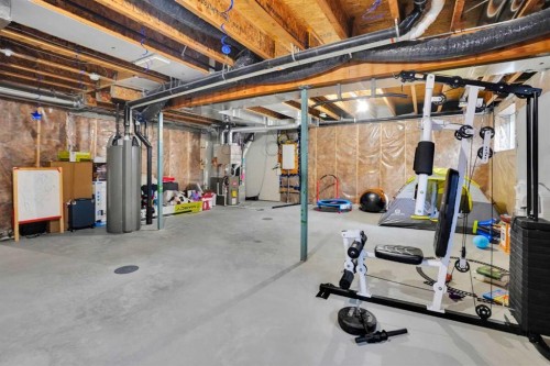 50 Cityside Terrace Ne, Calgary, AB - Indoor Photo Showing Basement