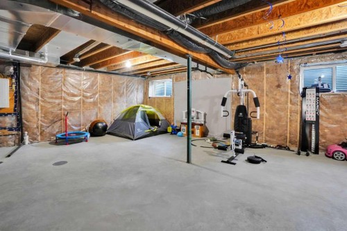 50 Cityside Terrace Ne, Calgary, AB - Indoor Photo Showing Basement
