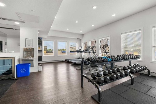 1425-76 Cornerstone Passage Ne, Calgary, AB - Indoor Photo Showing Gym Room