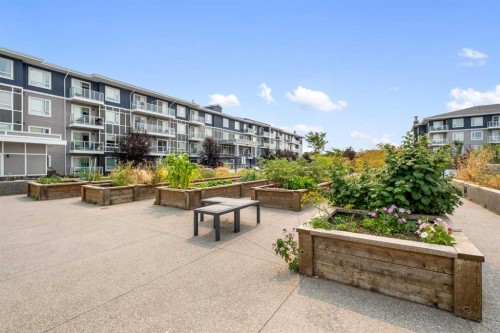 1425-76 Cornerstone Passage Ne, Calgary, AB - Outdoor