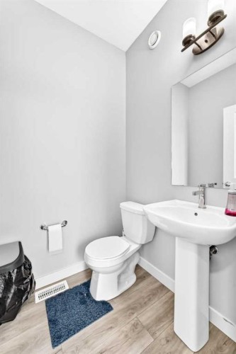 164 Langwell Common Se, Airdrie, AB - Indoor Photo Showing Bathroom
