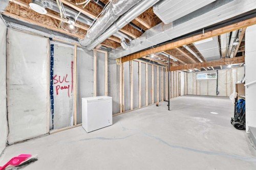 164 Langwell Common Se, Airdrie, AB - Indoor Photo Showing Basement