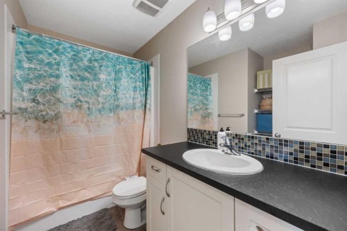 140 Walden Gate Se, Calgary, AB - Indoor Photo Showing Bathroom