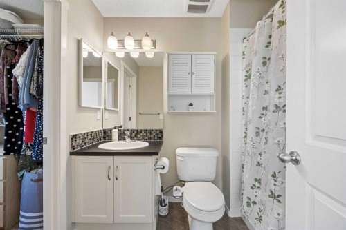140 Walden Gate Se, Calgary, AB - Indoor Photo Showing Bathroom