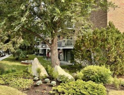 408-521 57 Avenue SW Calgary, AB T2V 4N5
