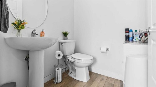 1813 Cornerstone Boulevard Ne, Calgary, AB - Indoor Photo Showing Bathroom