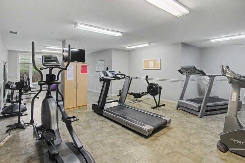 205-15 Everstone Drive Sw, Calgary, AB - Indoor Photo Showing Gym Room