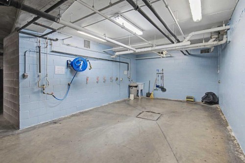 205-15 Everstone Drive Sw, Calgary, AB - Indoor Photo Showing Garage