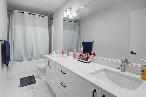 67 Copperhead Grove Se, Calgary, AB - Indoor Photo Showing Bathroom