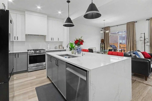67 Copperhead Grove Se, Calgary, AB - Indoor Photo Showing Kitchen With Upgraded Kitchen
