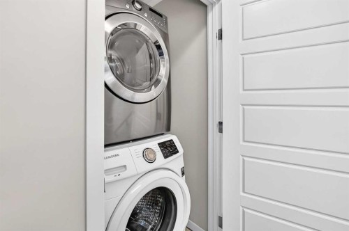 98 Saddlelake Terrace, Calgary, AB - Indoor Photo Showing Laundry Room