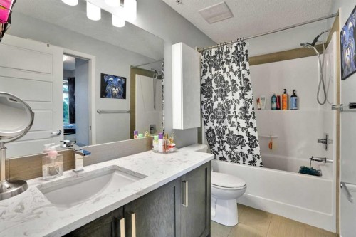 105-6603 New Brighton Avenue Se, Calgary, AB - Indoor Photo Showing Bathroom