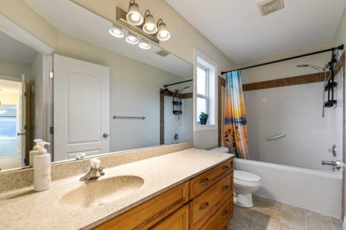 10 Evansmeade Manor Nw, Calgary, AB - Indoor Photo Showing Bathroom
