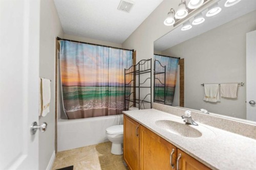 10 Evansmeade Manor Nw, Calgary, AB - Indoor Photo Showing Bathroom