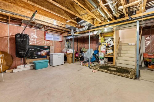 10 Evansmeade Manor Nw, Calgary, AB - Indoor Photo Showing Basement