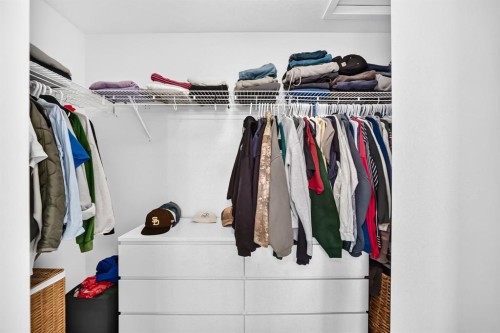 118 Belmont Crescent Sw, Calgary, AB - Indoor With Storage