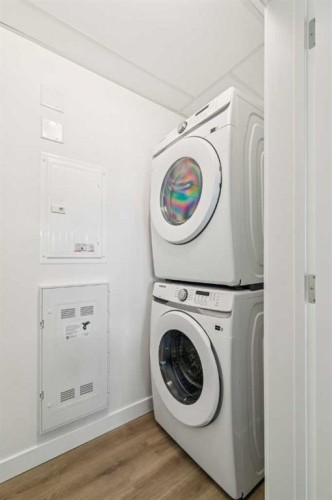 6107-1808 Mahogany Boulevard Se, Calgary, AB - Indoor Photo Showing Laundry Room