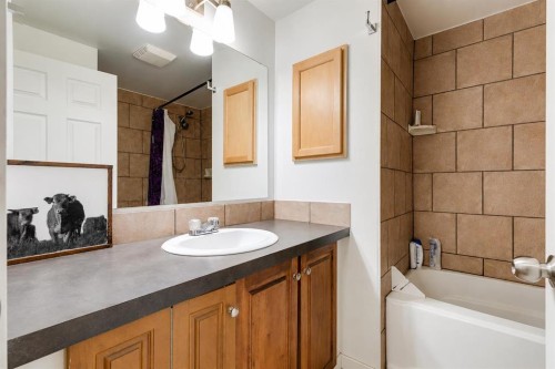 56 Spring Dale Circle Se, Airdrie, AB - Indoor Photo Showing Bathroom