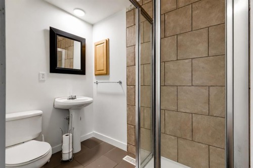 56 Spring Dale Circle Se, Airdrie, AB - Indoor Photo Showing Bathroom
