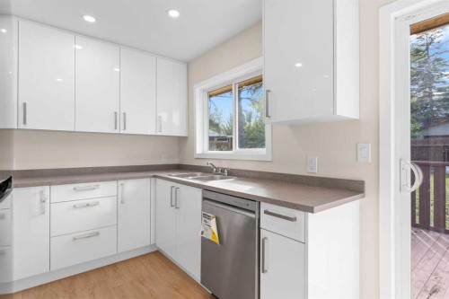 2007 Cottonwood Crescent Se, Calgary, AB - Indoor Photo Showing Kitchen With Double Sink