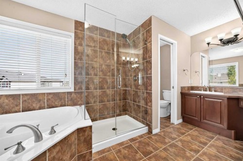 214 Royal Birch Heath Nw, Calgary, AB - Indoor Photo Showing Bathroom