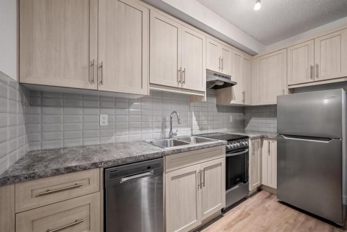 61 Cityline Gate Ne, Calgary, AB - Indoor Photo Showing Kitchen With Double Sink With Upgraded Kitchen
