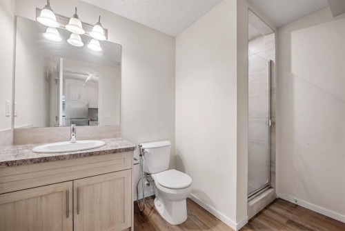 61 Cityline Gate Ne, Calgary, AB - Indoor Photo Showing Bathroom