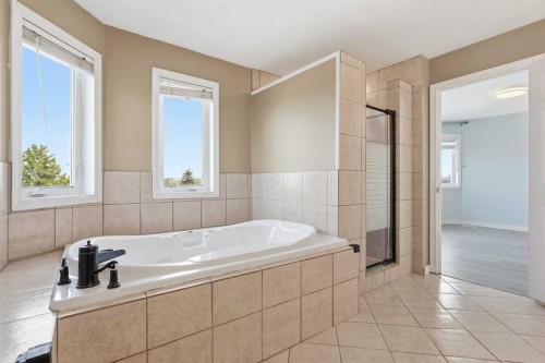 167 Harvest Glen Way Ne, Calgary, AB - Indoor Photo Showing Bathroom