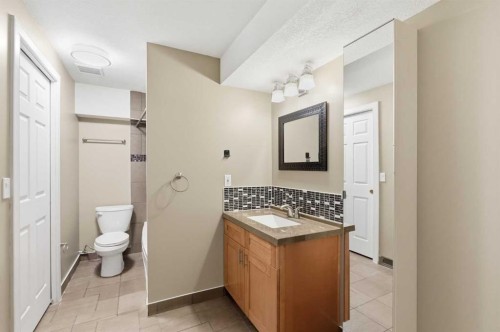 167 Harvest Glen Way Ne, Calgary, AB - Indoor Photo Showing Bathroom