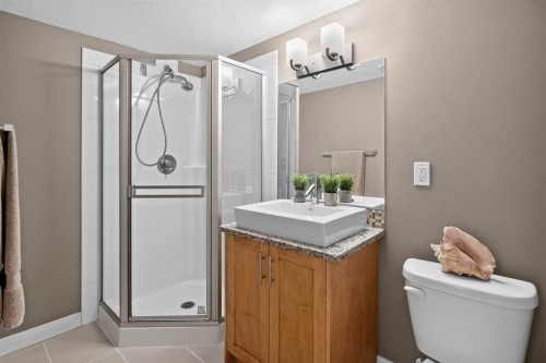 268 Rainbow Falls Green, Chestermere, AB - Indoor Photo Showing Bathroom