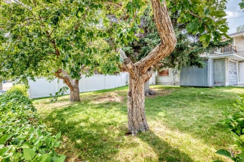 1735 38 Avenue Sw, Calgary, AB - Outdoor