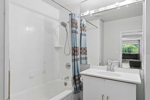 211 7 Street Ne, Calgary, AB - Indoor Photo Showing Bathroom
