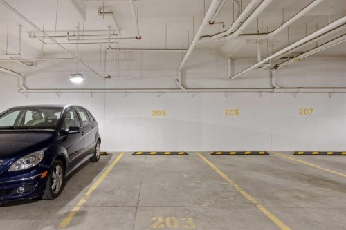 203-383 Smith Street Nw, Calgary, AB - Indoor Photo Showing Garage