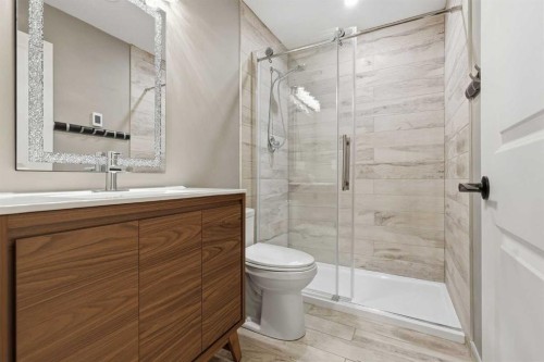 125 Walden Rise Se, Calgary, AB - Indoor Photo Showing Bathroom