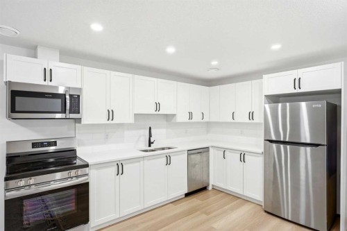49 Copperhead Road Se, Calgary, AB - Indoor Photo Showing Kitchen With Double Sink